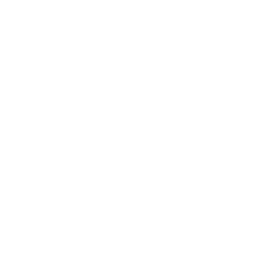 SEAT logo